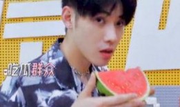 吃瓜娱乐圈任豪,娱乐圈的瓜田新秀，星光璀璨的蜕变之路